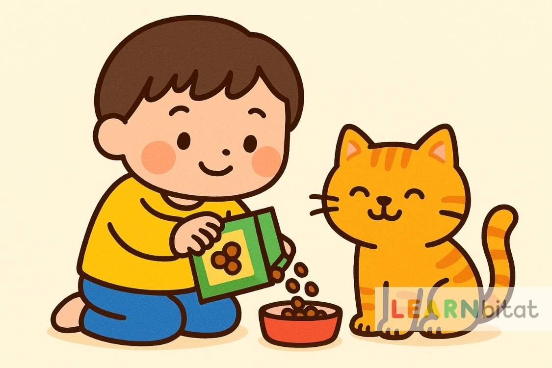 Exercise 047-Feeding the Cat