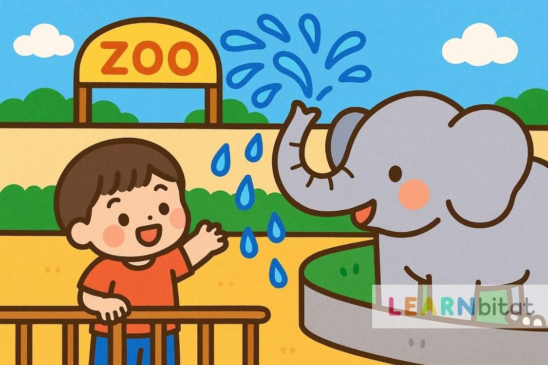 แบบฝึกหัดภาษาอังกฤษ ป.1 อนุบาล พร้อมเฉลย ฟรี ฝึกอ่านฝึกฟังภาษาอังกฤษ Reading Comprehension Exercise